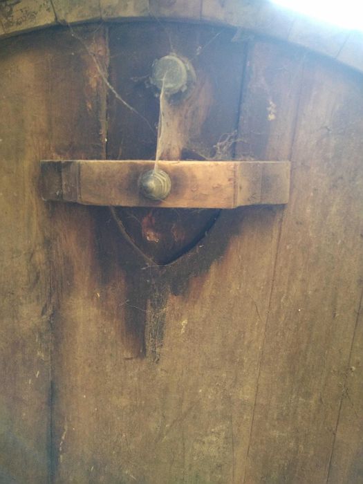 Tonel de 6k L antigo de Madeira Mussivi e Macacaúba