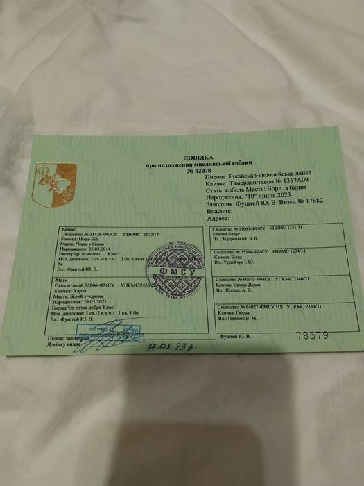 Цуценята Европейської лайки