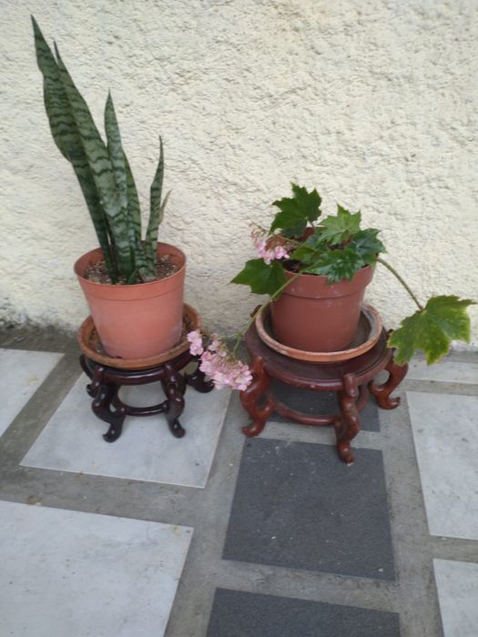 Bases para colocar vasos em madeira