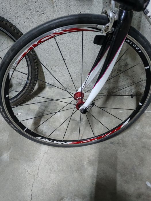 Bicicleta Dynatek