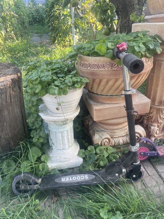 Самокаты бесплатно