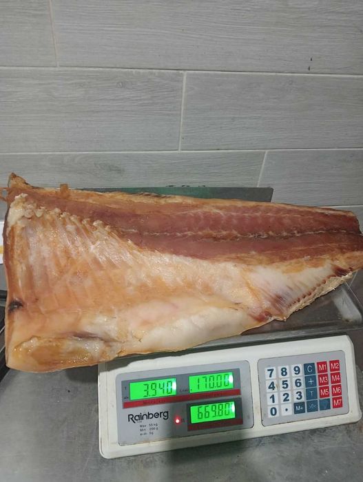 Лящ плотва балик товстолоба густер