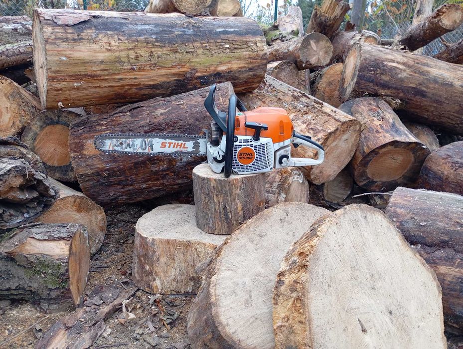 Cięcie drewna i wycinka drzew
