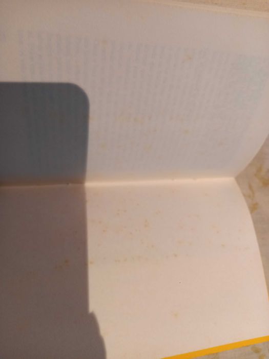 Livro: Até ao Fim - Virgílio Ferreira