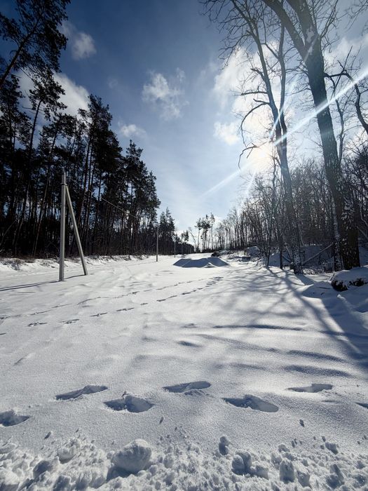 КМ Нова Ходосівка Ділянка 15 соток ліс Мануфактура Ходосівка Alfresco
