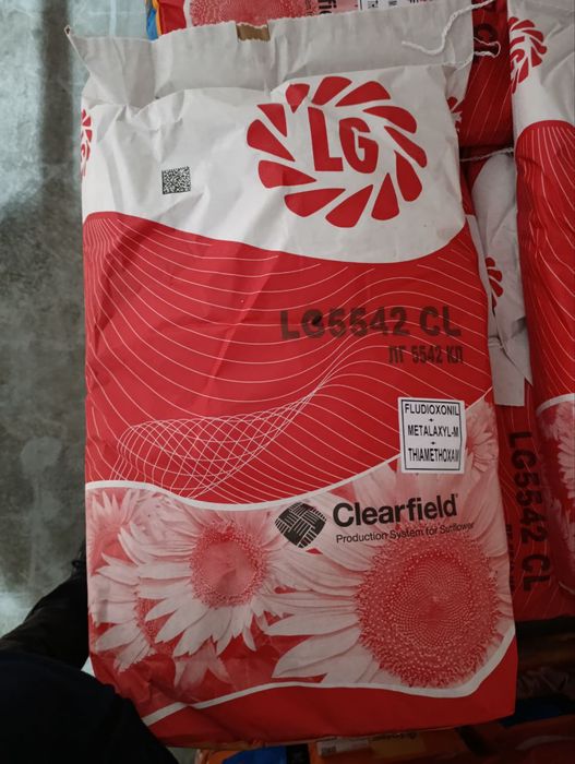 Продам насіння соняшнику Лімагрейн 5542 КЛ.Limagrain 5542 CL TUR