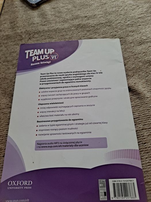 Team up plus 6 class book