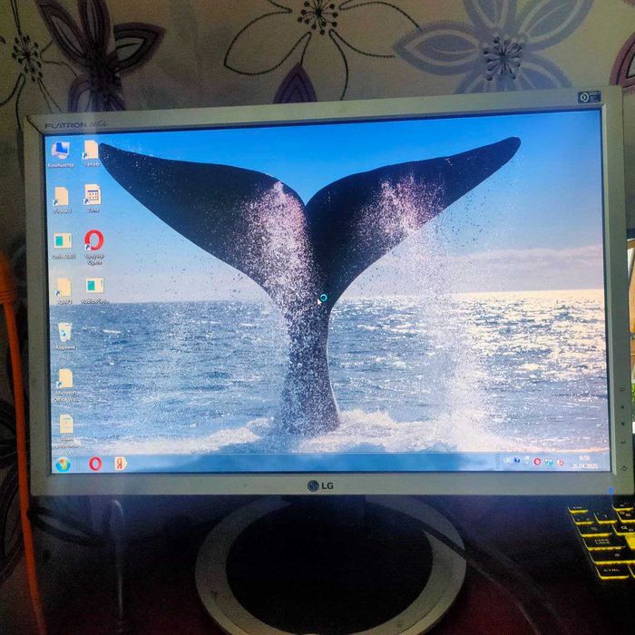 Монітор LG Flatron Wide 19