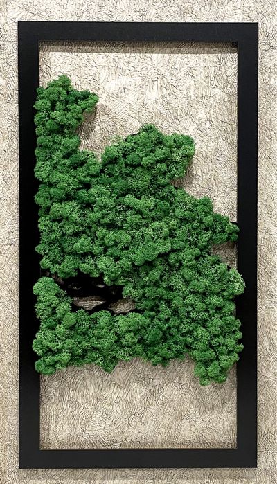 Картина Дерево з стабілізованого моху