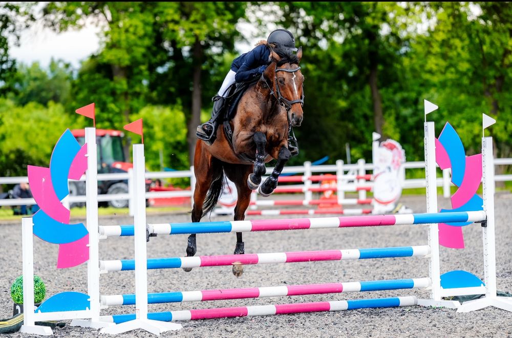 13 letnia małopolska klacz