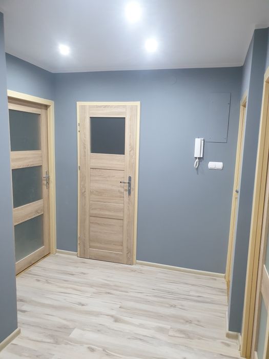 Budowa domów i remonty mieszeszkań