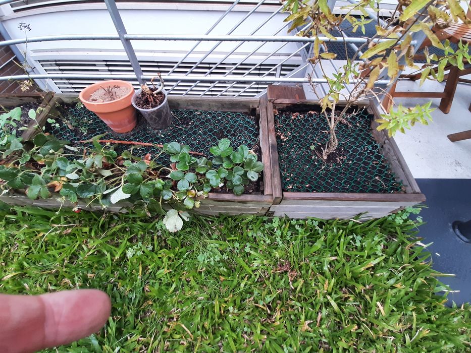 Dá-se 3 floreiras de madeira