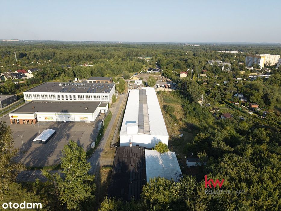 Hala Produkcyjna z zapleczem na sprzedaż