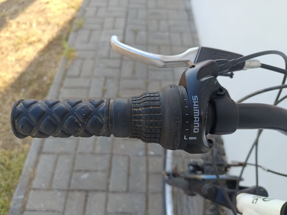 Bicicleta Berg Sport Cross 1.0