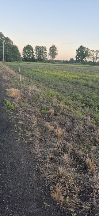 Działka z WZ i gotowym przyłączem wody. Kontrewers gmina Dalików - Widok 2