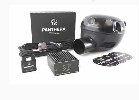 Escape Eletrónico Panthera Leo Active Sound