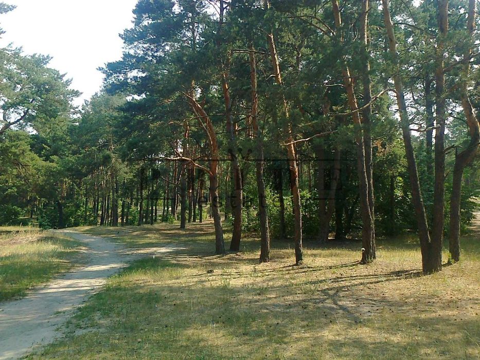 Продаж! 1-к квартира. Лісовий масив