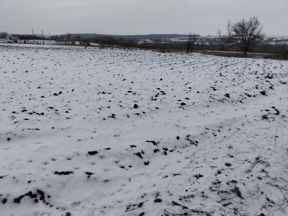 Продам хату у новоархангельську Чернишевського 9