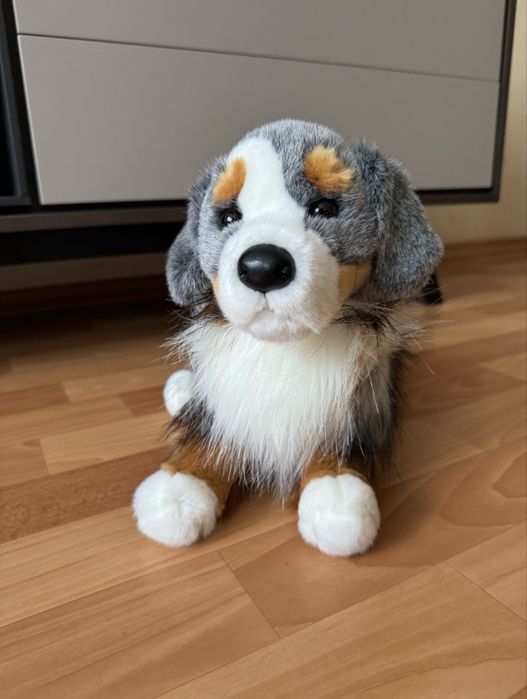 Мʼяка іграшка Douglas Sinclair Australian Shepherd Dog