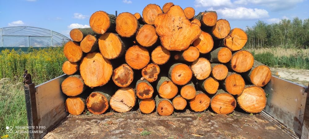 Sprzedam drzewo opałowe