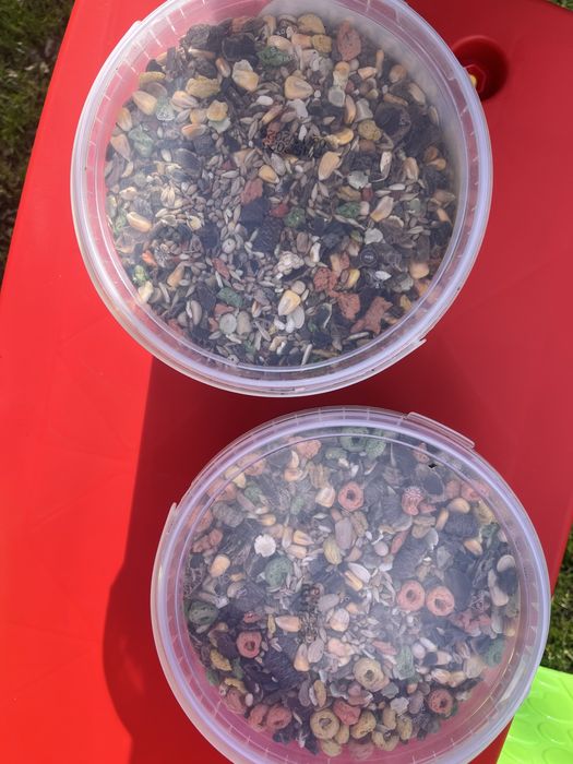 karma dla królików i gryzoni