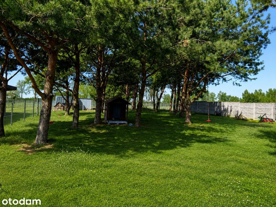 Komfortowy dom z 7069 m² działki i budynkiem gosp. | 8 km od Ostrołęki