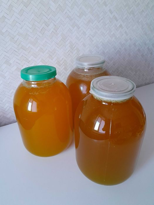 Мед соняшниковий 2025