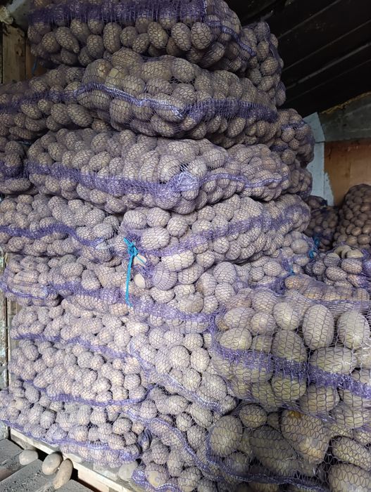 Картофель с доставкой