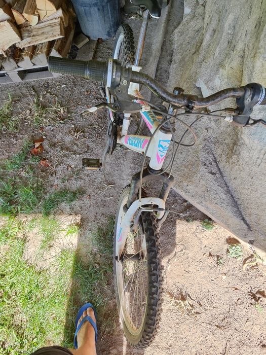 Bicicleta de menina até 12 anos