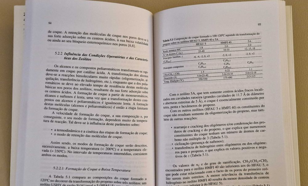 Fernando Ramôa Ribeiro- Zeólitos Um nanomundo ao serviço da catálise