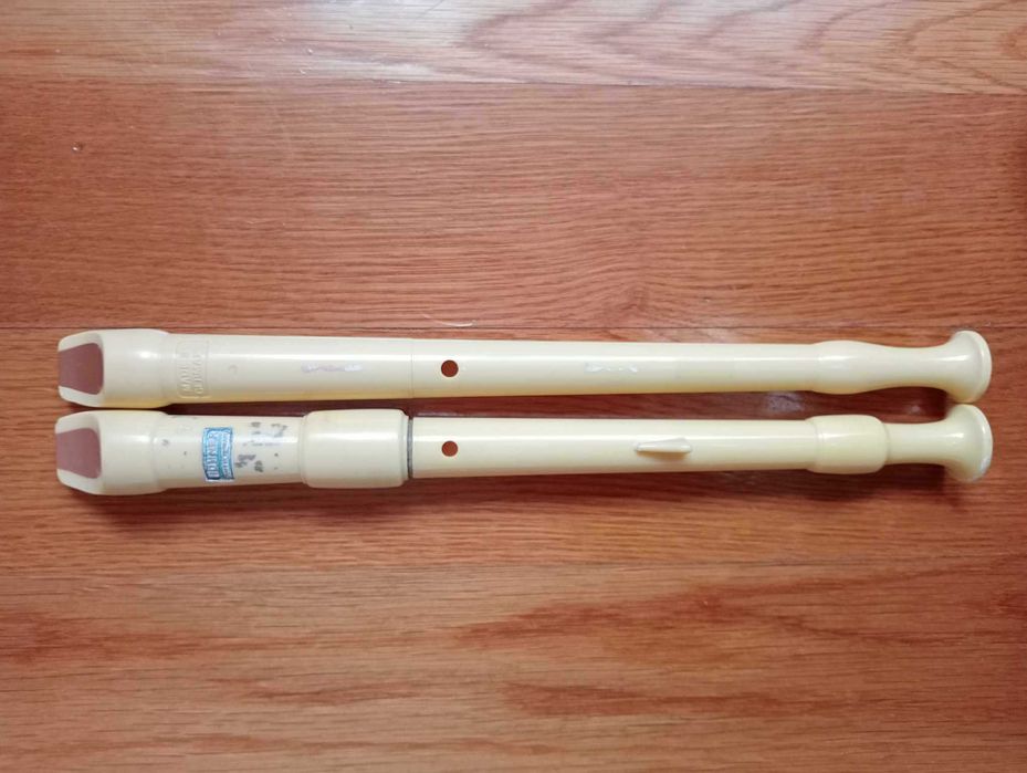 FLB_001 | Conjunto de Flautas de Bisel | Hohner | Bastante Utilizadas