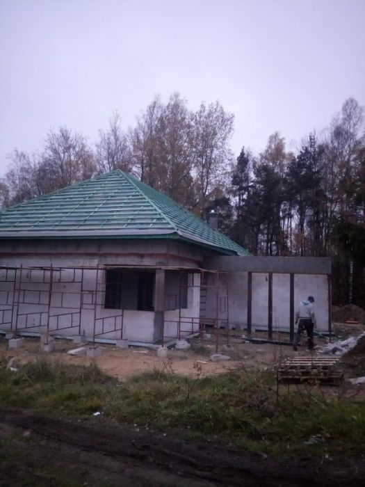 Budowy Domów. Dachy.