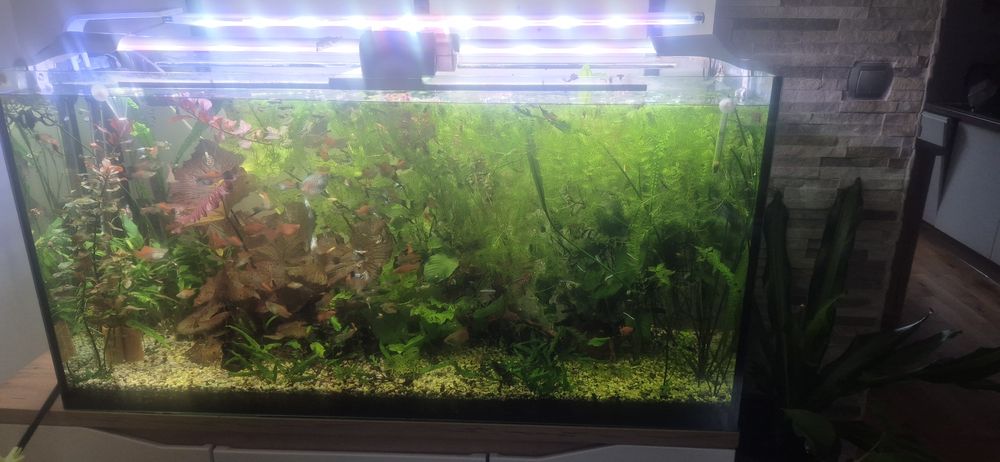 Sprzedam akwarium 300l kompletne