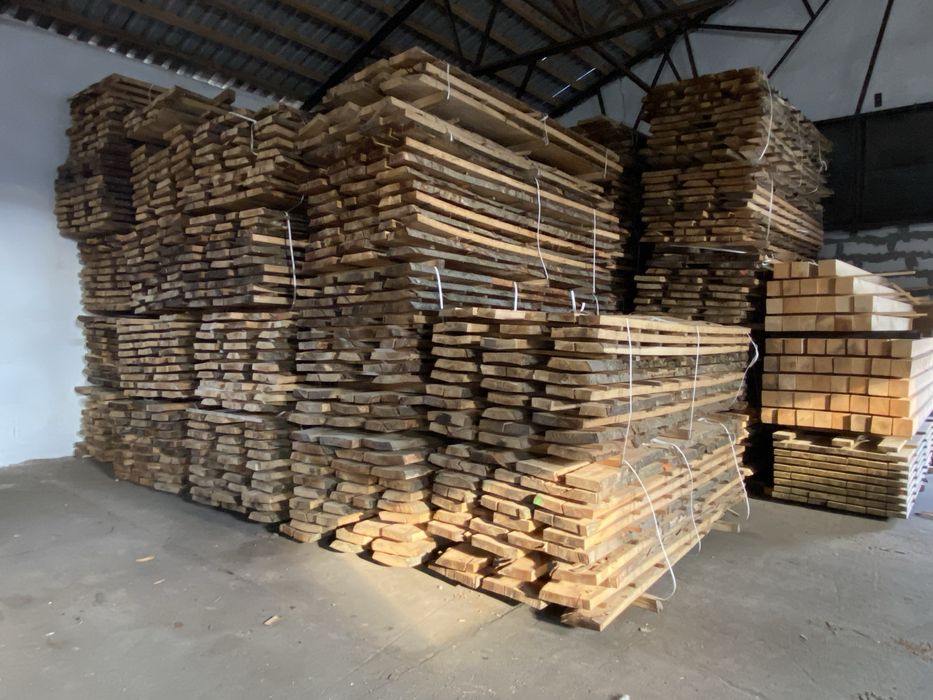 Tarcia Dąb Buk Olcha Brzoza Modrzew