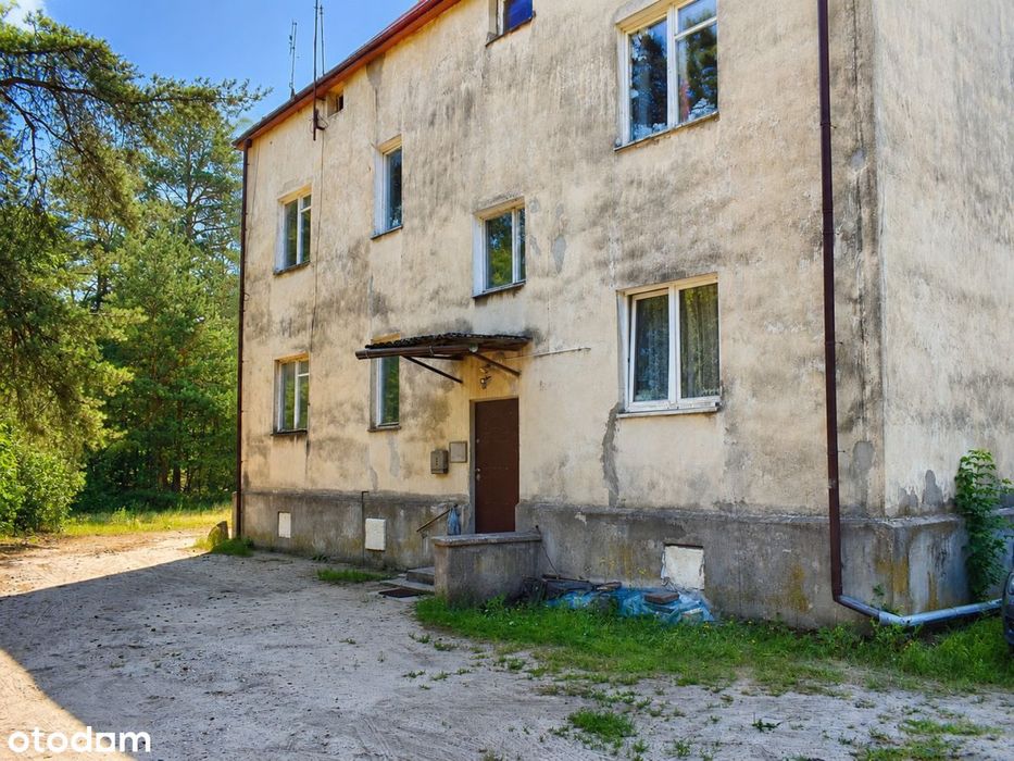 Zdjęcie 5