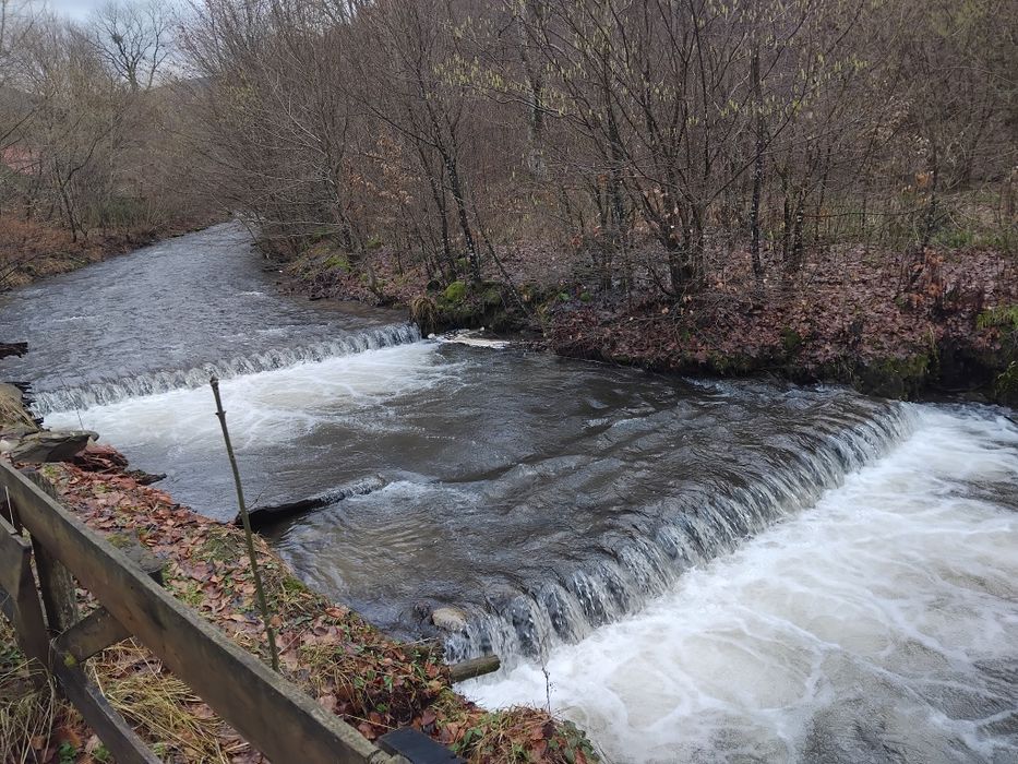 Ціну різко знижено! Маєток у горах Карпат с Вовчий Закарпатської облас