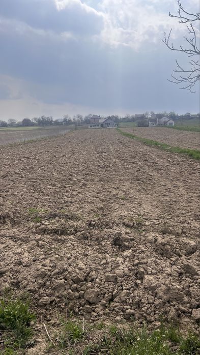 Продаж земельної ділянки в Чагрі
