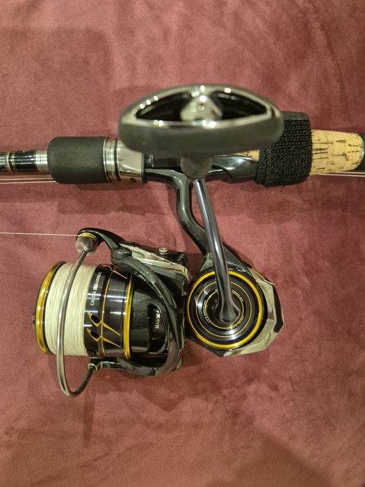 Daiwa Caldia MQ LT 4000D-C