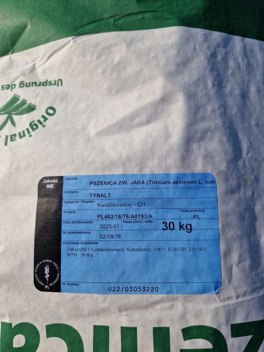 Pszenica jara sezon 2025 sucha workowana