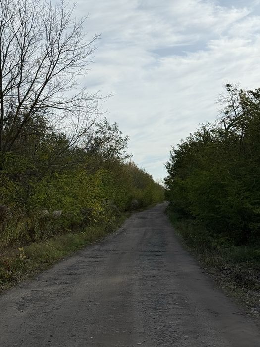 Земельна ділянка, під забудову, 11сот. Старі Петрівці - View 5