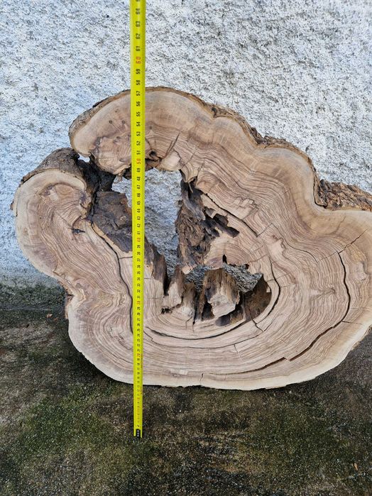 Grande Rodela de Oliveira, madeira maciça, lixada e aplainada