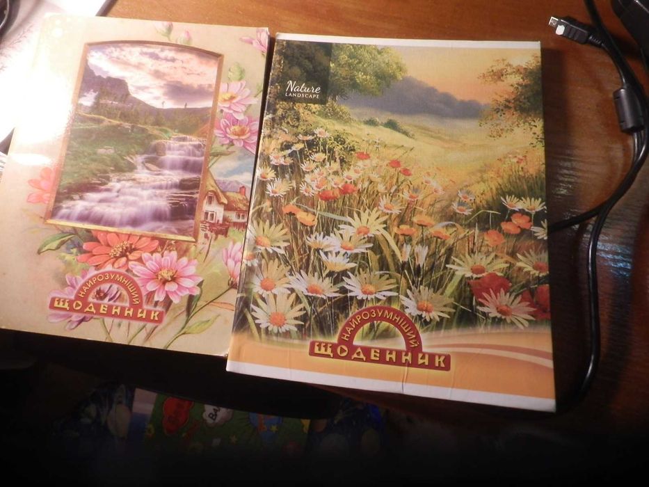 Дневники новые  разные.