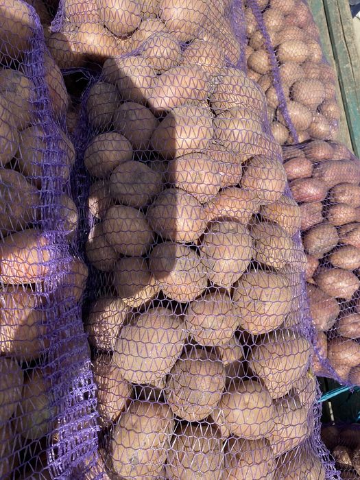 Продам картоплю та моркуву