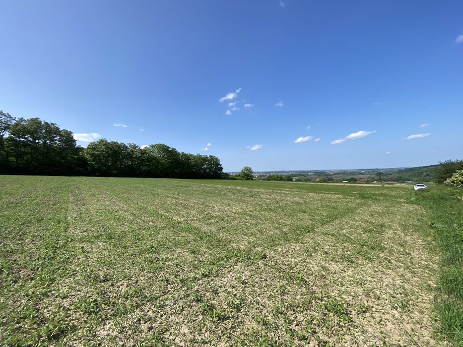 Топова земля, перша лінія, 50соток +