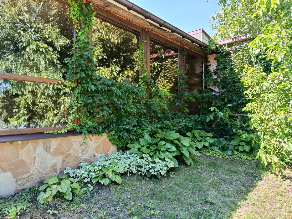 Продается дом в с. Новотроицкое на берегу природного водоёма