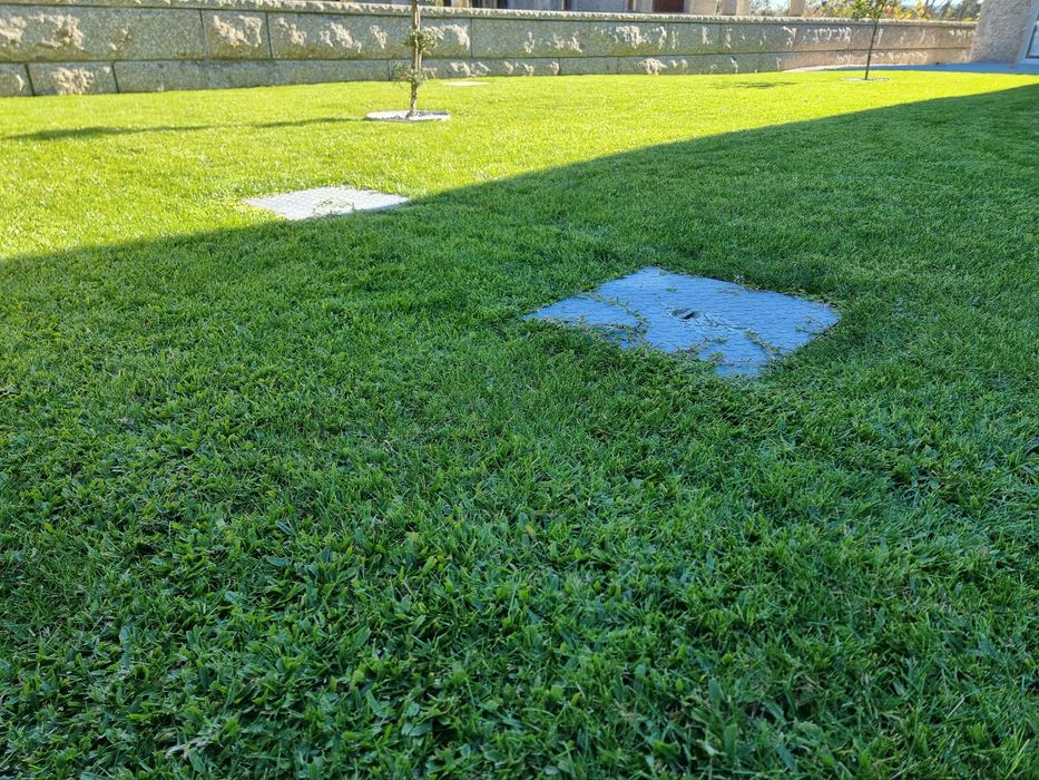 Limpezas de terrenos e jardineiro