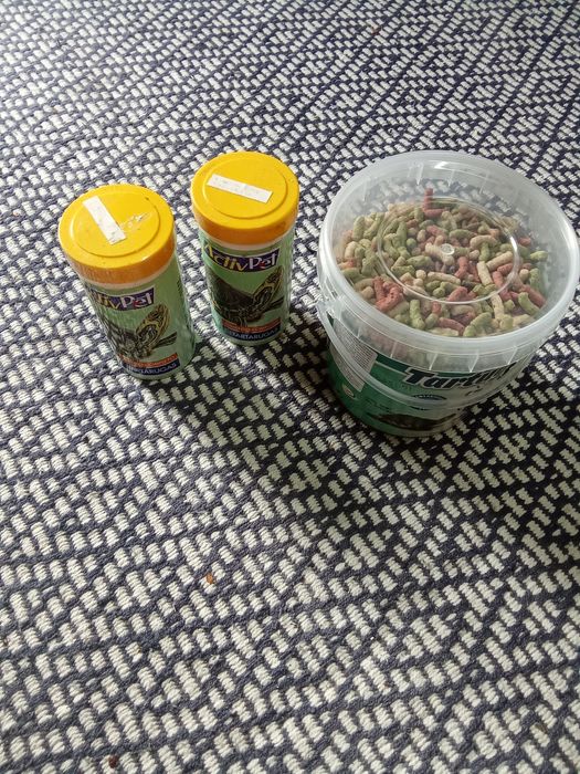 Aquário para tartaruga completo