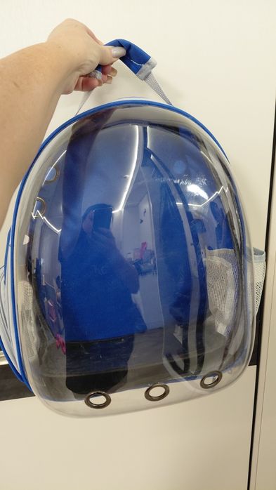 Рюкзак переноска для котов.