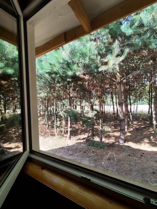 Domki pod topolami, wynajem.