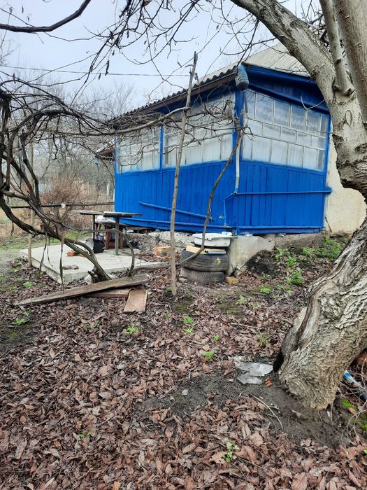 Дом в селі та земельна ділянка